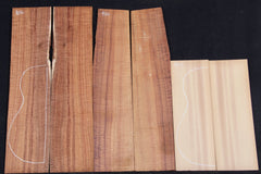 Exhibition Grade Curly Koa Baritone Ukulele set #816.