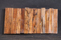 Stabilized Spalted Ironwood Pen Blank Variety  #6